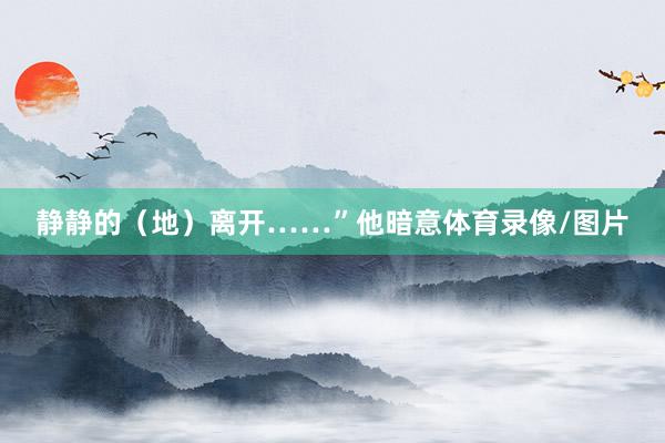 静静的（地）离开……”他暗意体育录像/图片