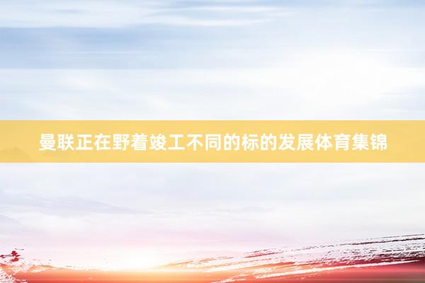 曼联正在野着竣工不同的标的发展体育集锦