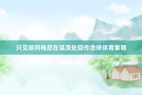 只见琼阿梅尼在弧顶处回作念球体育集锦