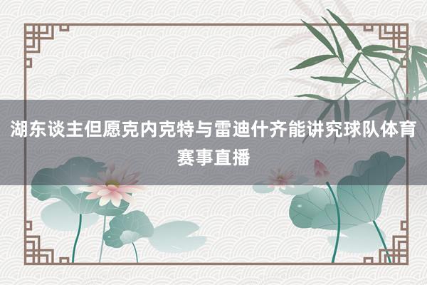 湖东谈主但愿克内克特与雷迪什齐能讲究球队体育赛事直播