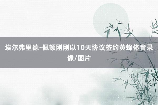 埃尔弗里德-佩顿刚刚以10天协议签约黄蜂体育录像/图片