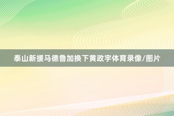 泰山新援马德鲁加换下黄政宇体育录像/图片