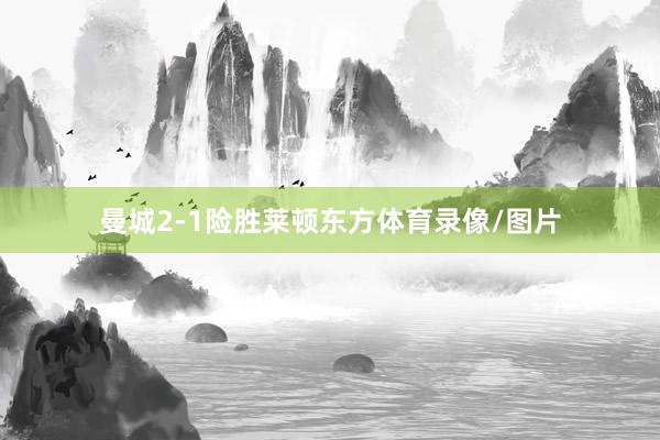 曼城2-1险胜莱顿东方体育录像/图片