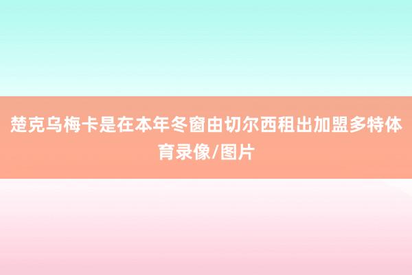 楚克乌梅卡是在本年冬窗由切尔西租出加盟多特体育录像/图片