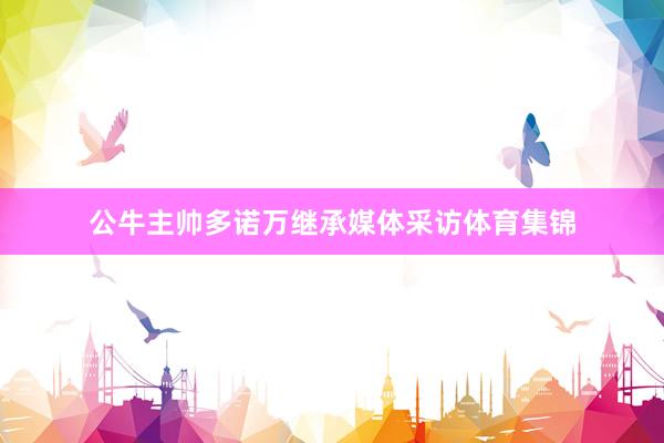 公牛主帅多诺万继承媒体采访体育集锦