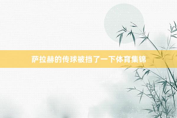 萨拉赫的传球被挡了一下体育集锦