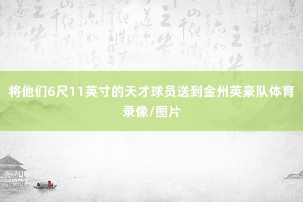 将他们6尺11英寸的天才球员送到金州英豪队体育录像/图片
