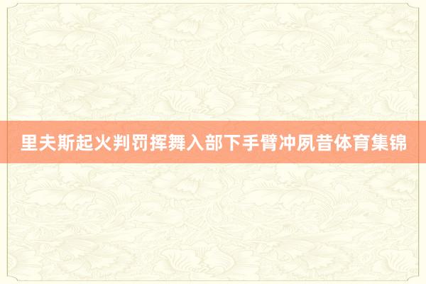 里夫斯起火判罚挥舞入部下手臂冲夙昔体育集锦