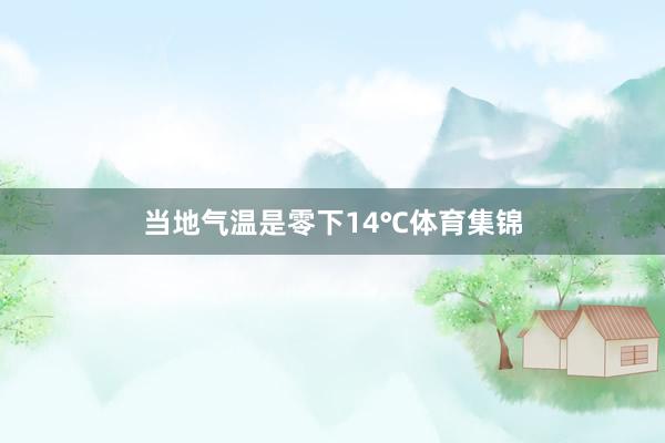 当地气温是零下14℃体育集锦