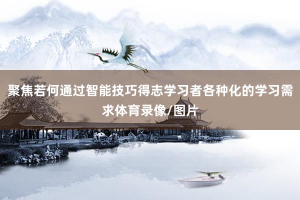 聚焦若何通过智能技巧得志学习者各种化的学习需求体育录像/图片