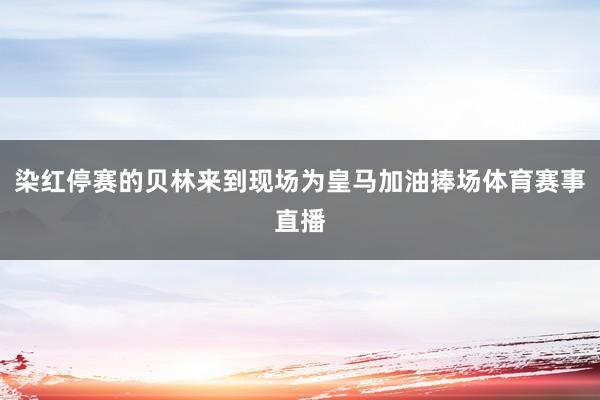染红停赛的贝林来到现场为皇马加油捧场体育赛事直播