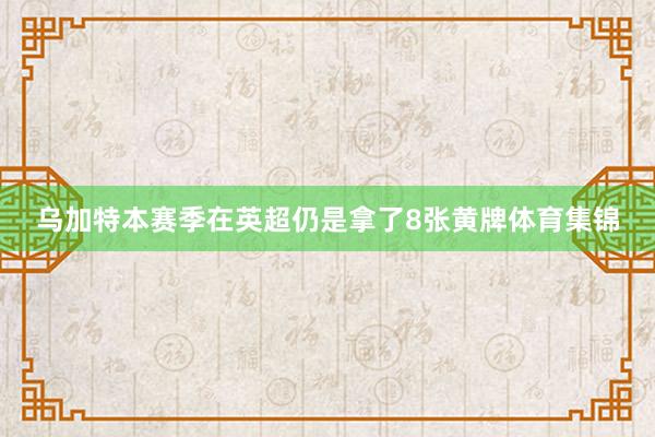 乌加特本赛季在英超仍是拿了8张黄牌体育集锦