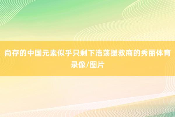 尚存的中国元素似乎只剩下浩荡援救商的秀丽体育录像/图片