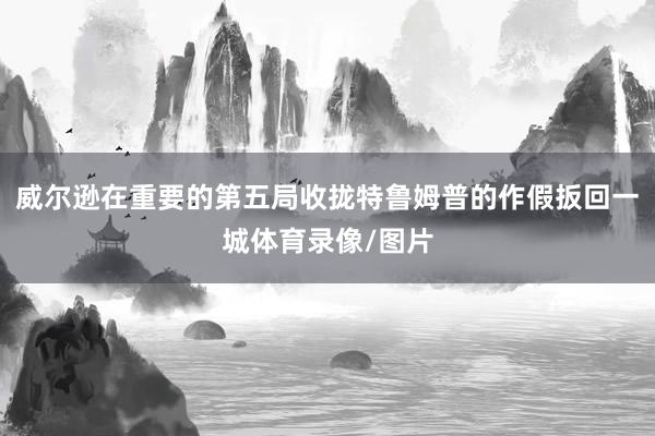 威尔逊在重要的第五局收拢特鲁姆普的作假扳回一城体育录像/图片