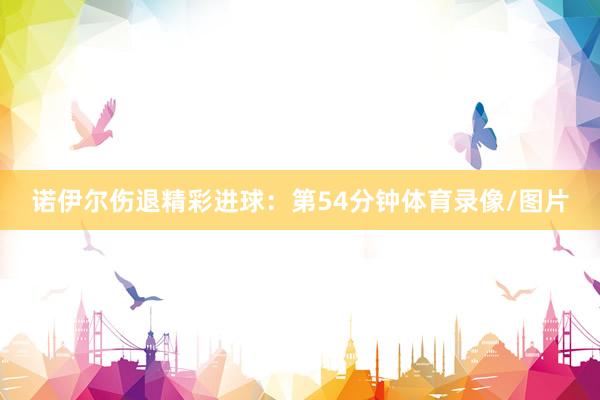 诺伊尔伤退精彩进球：第54分钟体育录像/图片