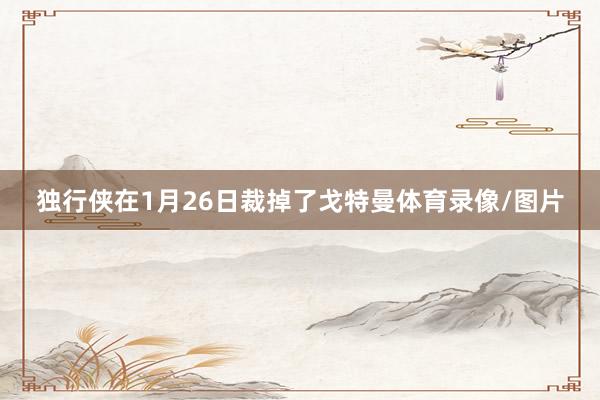 独行侠在1月26日裁掉了戈特曼体育录像/图片
