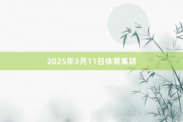 2025年3月11日体育集锦