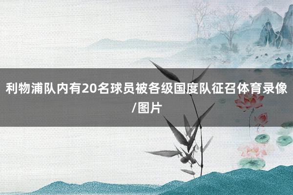 利物浦队内有20名球员被各级国度队征召体育录像/图片