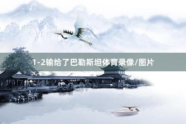 1-2输给了巴勒斯坦体育录像/图片