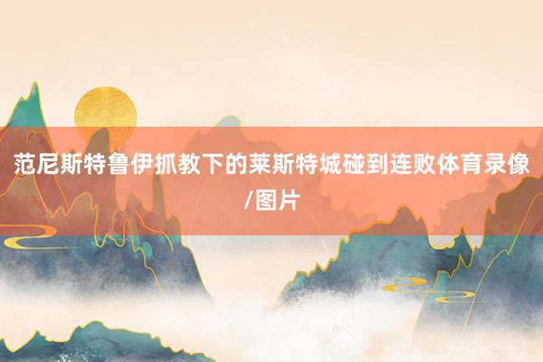 范尼斯特鲁伊抓教下的莱斯特城碰到连败体育录像/图片