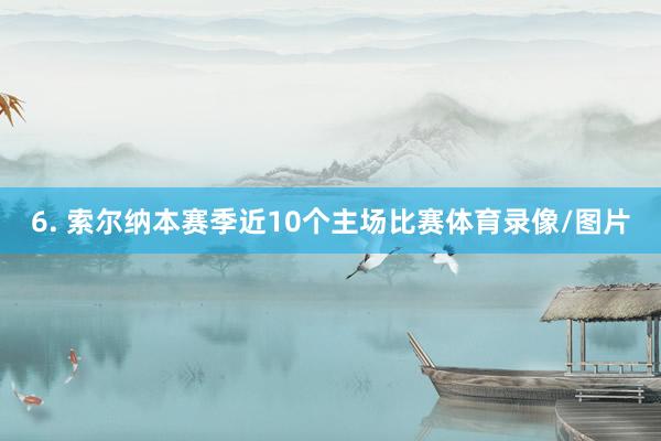 6. 索尔纳本赛季近10个主场比赛体育录像/图片