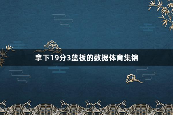 拿下19分3篮板的数据体育集锦
