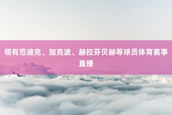 领有范迪克、加克波、赫拉芬贝赫等球员体育赛事直播