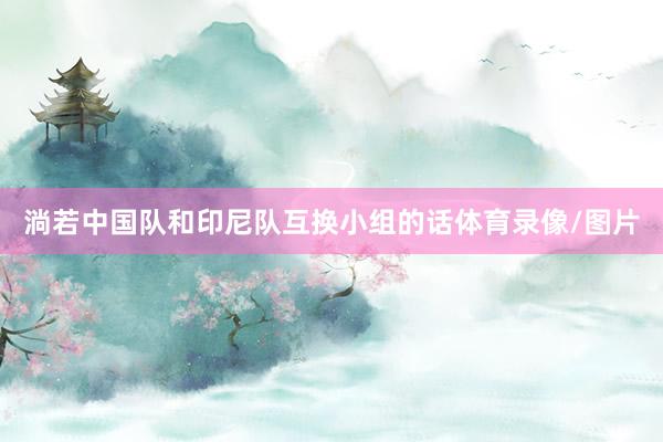 淌若中国队和印尼队互换小组的话体育录像/图片