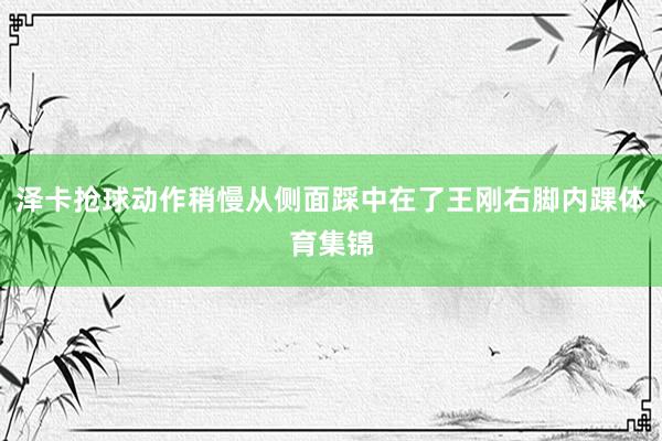 泽卡抢球动作稍慢从侧面踩中在了王刚右脚内踝体育集锦