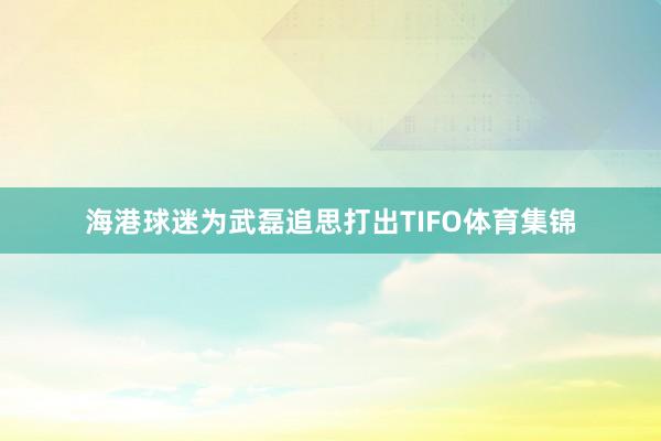 海港球迷为武磊追思打出TIFO体育集锦