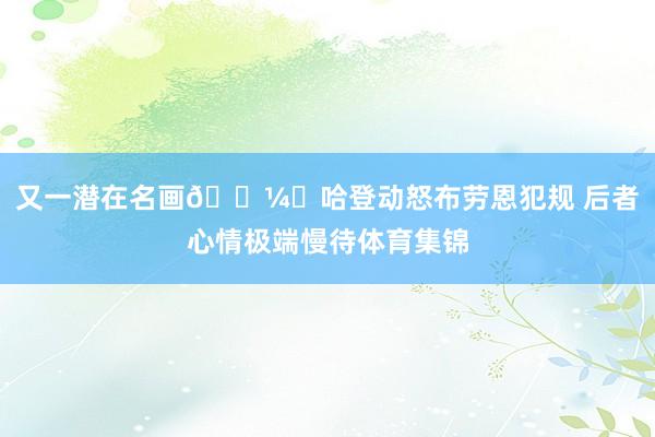 又一潜在名画🖼️哈登动怒布劳恩犯规 后者心情极端慢待体育集锦