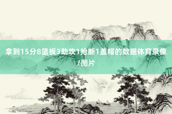 拿到15分8篮板3助攻1抢断1盖帽的数据体育录像/图片