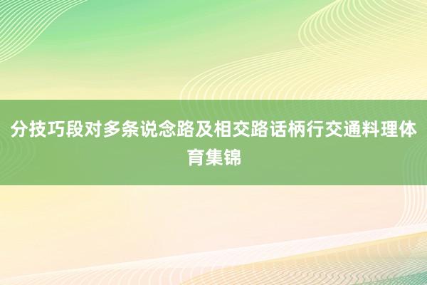 分技巧段对多条说念路及相交路话柄行交通料理体育集锦