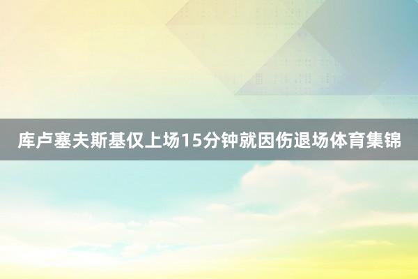 库卢塞夫斯基仅上场15分钟就因伤退场体育集锦