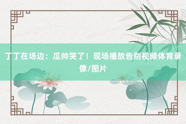 丁丁在场边：瓜帅哭了！现场播放告别视频体育录像/图片