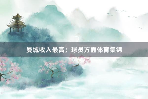 曼城收入最高；球员方面体育集锦