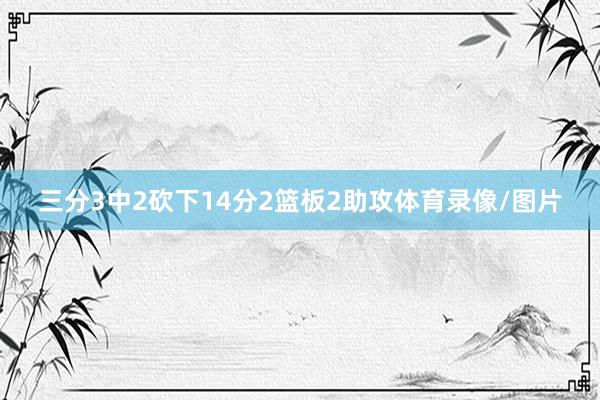 三分3中2砍下14分2篮板2助攻体育录像/图片