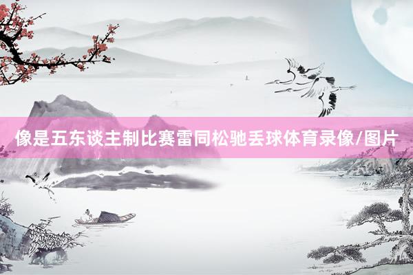 像是五东谈主制比赛雷同松驰丢球体育录像/图片