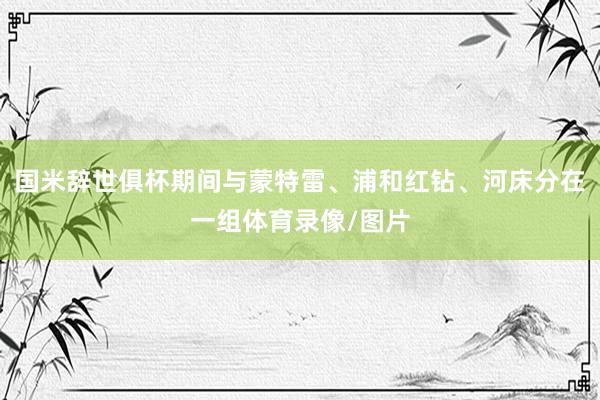 国米辞世俱杯期间与蒙特雷、浦和红钻、河床分在一组体育录像/图片