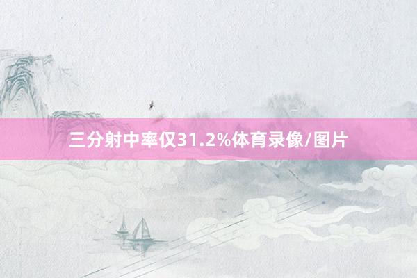 三分射中率仅31.2%体育录像/图片