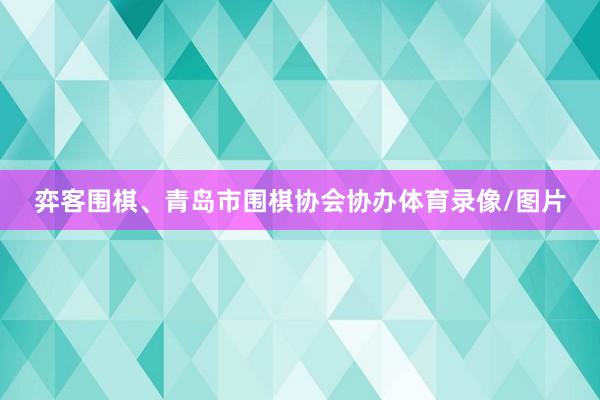 弈客围棋、青岛市围棋协会协办体育录像/图片