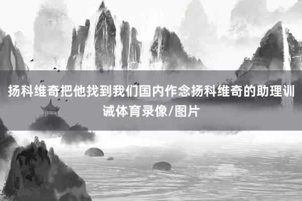 扬科维奇把他找到我们国内作念扬科维奇的助理训诫体育录像/图片