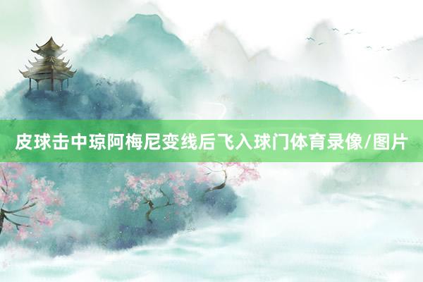 皮球击中琼阿梅尼变线后飞入球门体育录像/图片