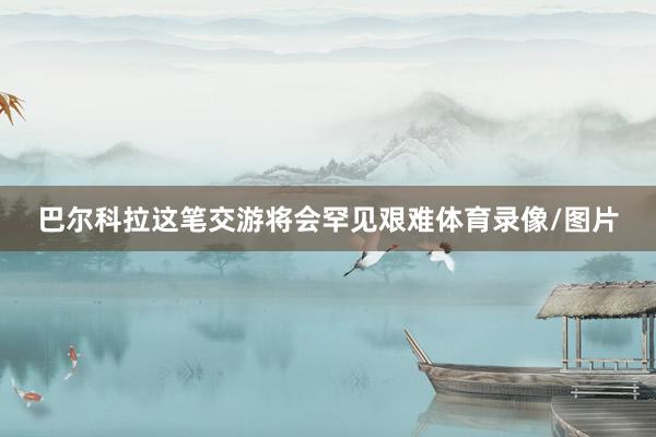 巴尔科拉这笔交游将会罕见艰难体育录像/图片
