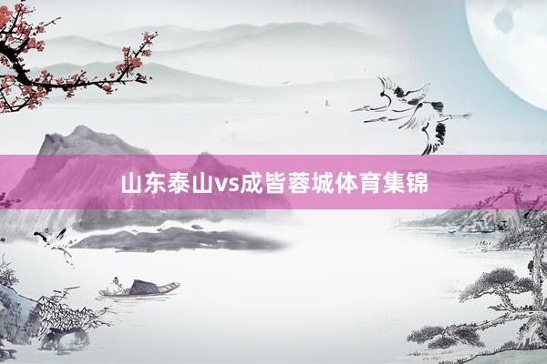 山东泰山vs成皆蓉城体育集锦