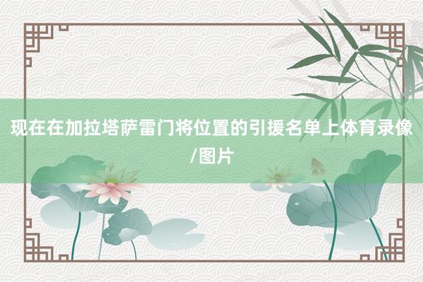 现在在加拉塔萨雷门将位置的引援名单上体育录像/图片