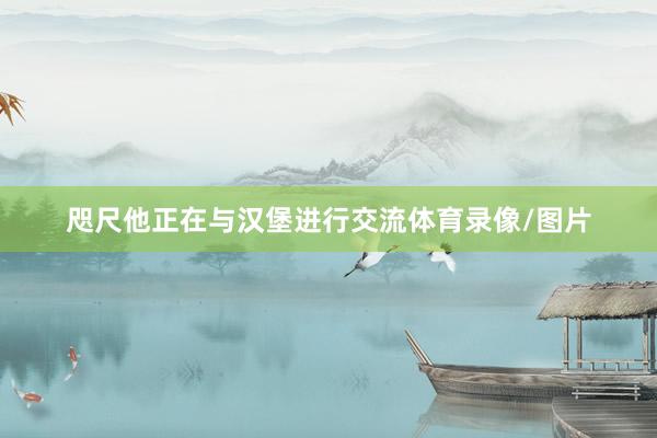 咫尺他正在与汉堡进行交流体育录像/图片