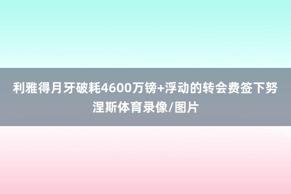 利雅得月牙破耗4600万镑+浮动的转会费签下努涅斯体育录像/图片