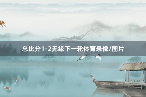 总比分1-2无缘下一轮体育录像/图片