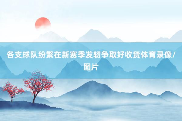 各支球队纷繁在新赛季发轫争取好收货体育录像/图片